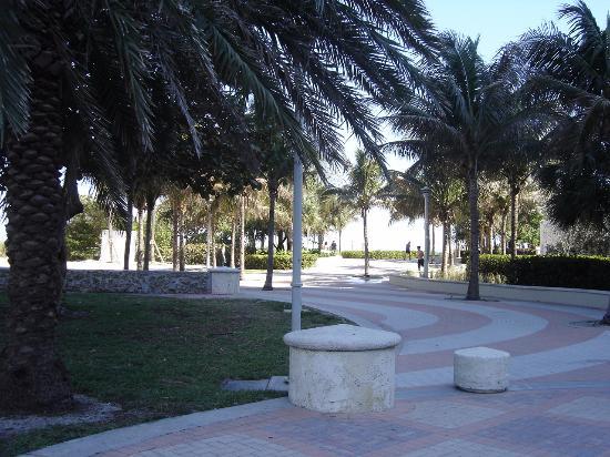 Collins Park